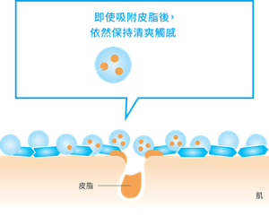 皮脂固化粉體示意圖，說明吸附皮脂後仍能保持清爽觸感，並減少黏膩感