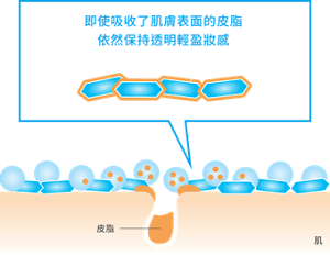 透明持妝粉體示意圖，說明吸收肌膚表面皮脂後，仍能維持透明輕盈、不厚重的妝感