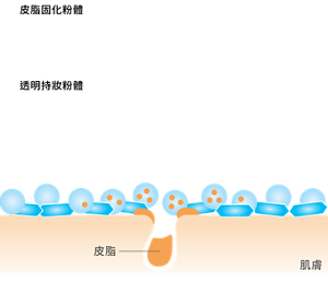 皮脂固化粉體與透明持妝粉體的示意圖，說明吸附皮脂後仍能維持清爽觸感，並減少油光而不顯厚重霧面感