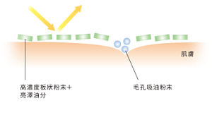 高濃度板狀粉末＋ 亮澤油分 毛孔吸油粉末