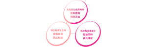  皮脂固化遮瑕粉末 完美遮瑕 預防泛油　 彈性貼膚聚合物 鎖緊妝容 防止脫妝　 抗皮脂亮澤油分 控油同時 具光澤感