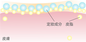 定妝成分　皮脂　皮膚