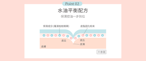 Point 02 水油平衡配方 保濕控油一步到位 保濕成分（羅漢柏枝精華） 皮脂固化粉末