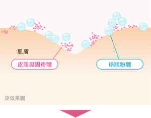 舊款的粉餅 （直接添加皮脂凝固粉體）