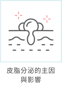 皮脂分泌的主因 與影響