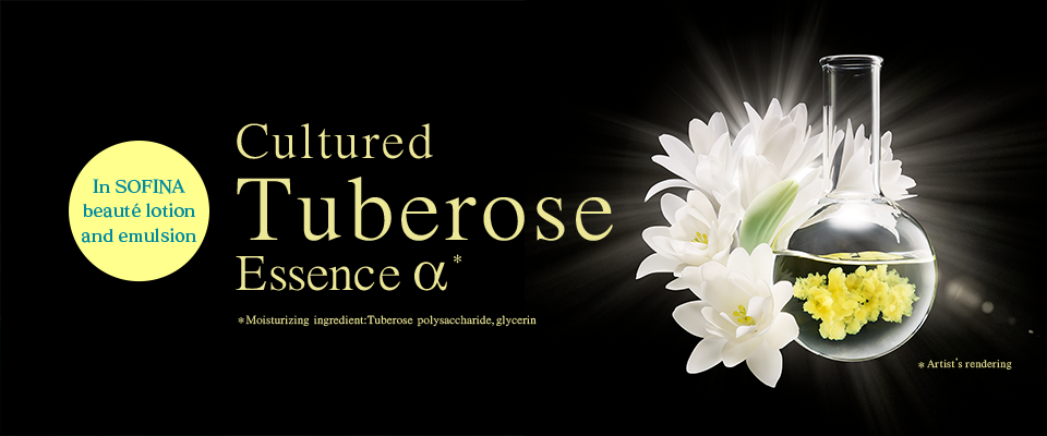 Kao Sofina Beaute Tuberose