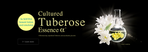 tuberose