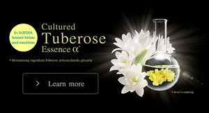 tuberose_sp