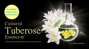 Tuberose Essence Essence α