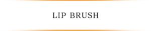 LIP BRUSH