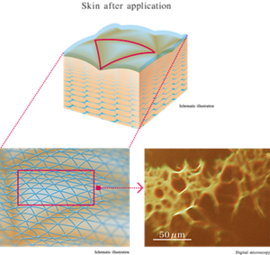 Skin after application