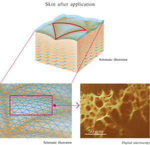 Skin after application