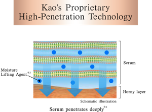 Kao’s Proprietary High-Penetration Technology
