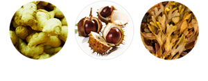 Ginger root Horse / chestnut seed / Rockweed (seaweed)