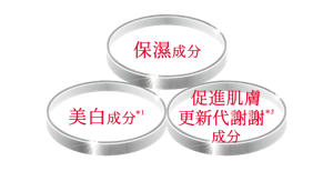 保濕成分 美白成分 促進肌膚更新代謝成分