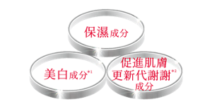 保濕成分 美白成分 促進肌膚更新代謝成分