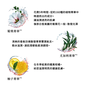 蜀葵菁華＊3 花費5年時間，從約160種的植物菁華中 精選而出的成分。 讓滋潤透亮的肌膚 像那白皙美麗的蜀葵花一般，散發光澤  尤加利菁華 尤加利菁華＊3 清爽的香氣彷彿散發青翠豐潤氣息。 飽水滋潤，連肌理都能柔滑調理。  柚子菁華 柚子菁華＊3 在冬季結果的暖黃柑橘。 給您滋潤明亮的健康肌膚。