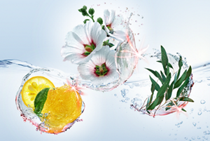 bnr_technology_sp_1711