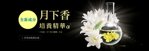 月下香 培養精華α* *保濕：月下香多醣體、甘油