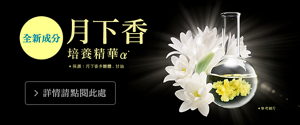 月下香 培養精華α* *保濕：月下香多醣體、甘油