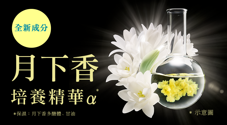 花王sofina Beaute 月下香 花王sofina Beaute 月下香
