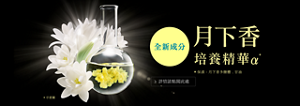 月下香 培養精華α* 