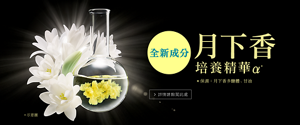 月下香 培養精華α* 