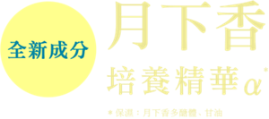 全新成分 月下香 培養精華α* *保濕：月下香多醣體、甘油