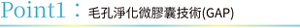 Point1：毛孔淨化微膠囊技術(GAP)