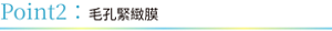 Point2：毛孔緊緻膜