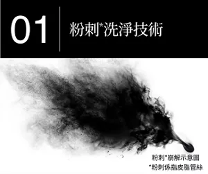 01 粉刺*洗淨技術 粉刺*崩解示意圖 *粉刺係指皮脂管絲