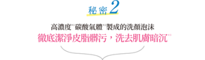 秘密2 高濃度  碳酸氣體  製成的洗顏泡沫　徹底潔淨皮脂髒污，洗去肌膚暗沉