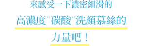來感受一下濃密細滑的高濃度  碳酸  洗顏慕絲的力量吧！