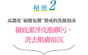 秘密2 高濃度  碳酸氣體  製成的洗顏泡沫　徹底潔淨皮脂髒污，洗去肌膚暗沉