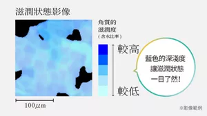 滋潤狀態影像 *影像範例