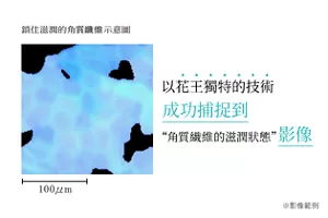 鎖住滋潤的角質纖維示意圖 以花王獨特的技術 成功捕捉到“角質纖維的滋潤狀態”影像 *影像範例