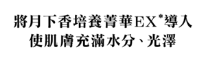 將月下香培養菁華EX＊ 導入 使肌膚充滿水分﹑光澤