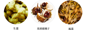 生薑　馬栗樹種子　褐藻