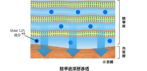 精華液深層滲透
