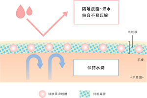 隔離皮脂、汗水 粧容不易瓦解 保持水潤