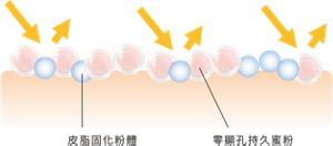 皮脂固化粉體 零顯孔持久蜜粉