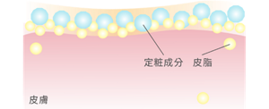 皮膚組織圖
