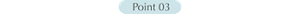 Point 03