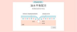Point 02 油水平衡配方 保濕控油同步到位 保濕成分（羅漢柏枝提取物） 皮脂固化粉末