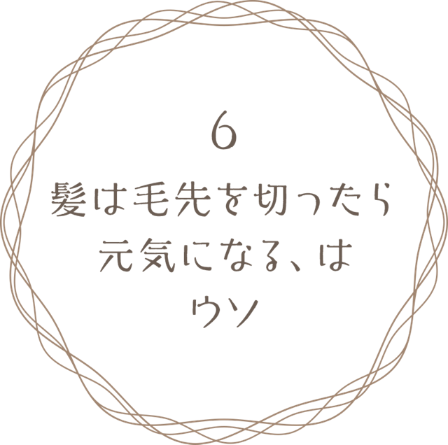 Kao Plaza 特集 髪の毛にまつわる6つの真実