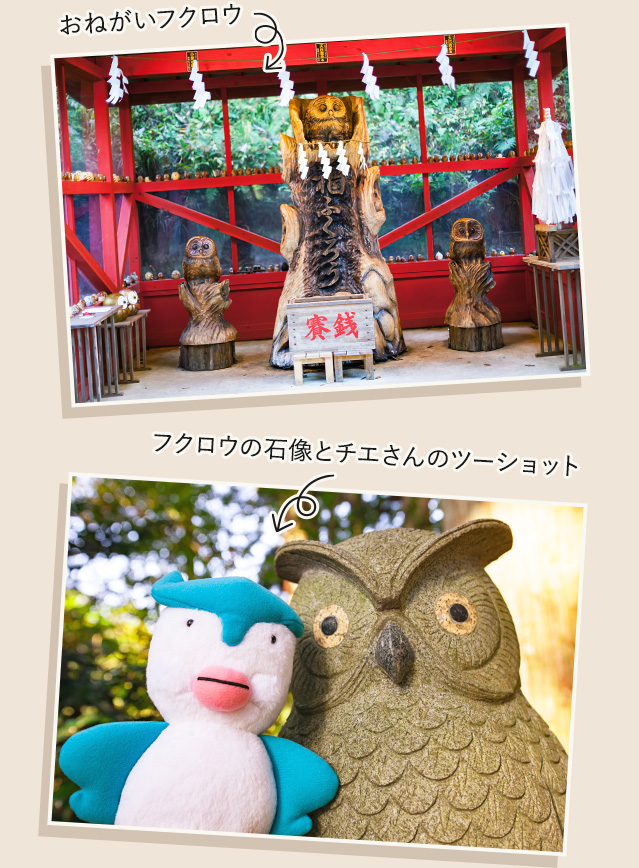 Kao Plaza フクロウは知恵のシンボル 第2弾 Kao Plaza フクロウは知恵のシンボル 第2弾