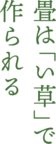 Kao Plaza 特集 畳の話
