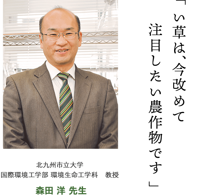 Kao Plaza 特集 畳の話