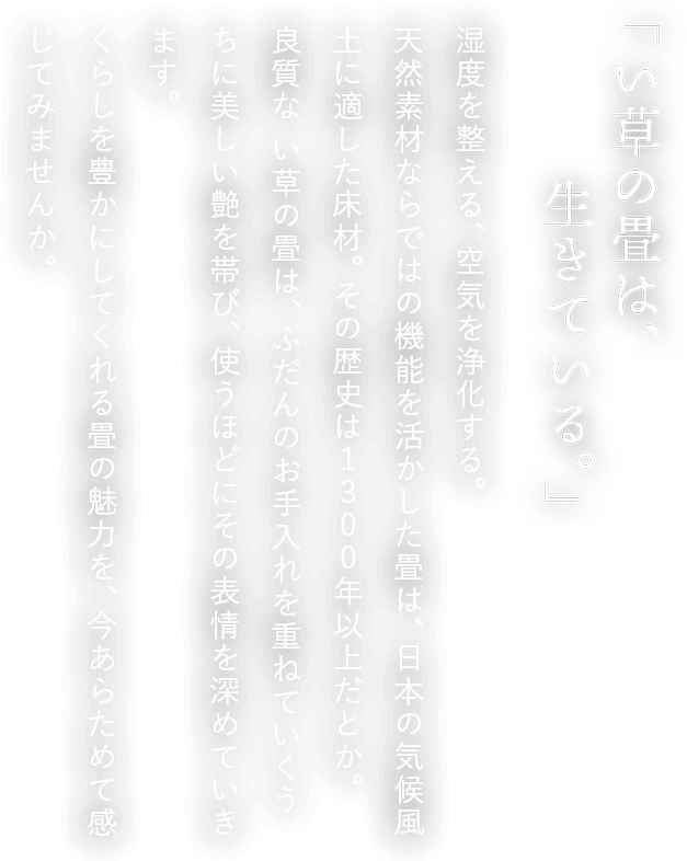 Kao Plaza 特集 畳の話