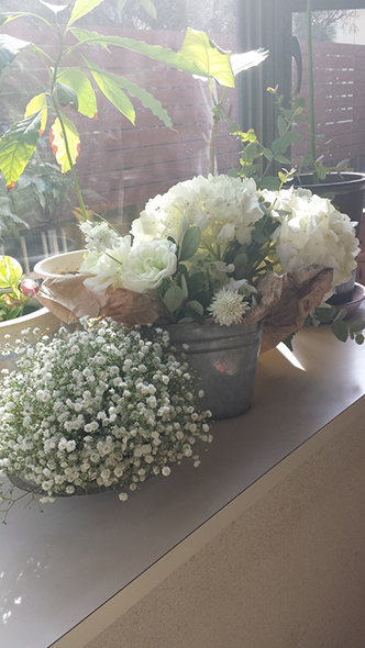 Kao Plaza くらしに役立つテクニック 観葉植物 どこにおく お祝いのお花 どう長持ちさせる お家の中にグリーンやお花を上手に取り入れる方法やお手入れのコツ